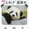 パンダでおぼえる　ことわざ慣用句 (日本語) 単行本 – 2018/6/5 学研プラス  (編集)