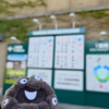 2026年夏甲子園観戦レポ