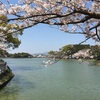 駕与丁公園（福岡県粕屋町）～1周4.219kｍの桜の美しい公園