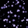 Firefly : 2D Particle System で色変化の表現をしてみる