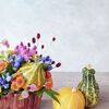 敬老の日の贈り物に和菓子を。感謝の気持ちを伝えるおすすめの和菓子