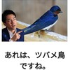 落ちたヒナを助けるのも自然の一部だよ