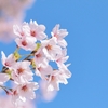 【やること多し】今年起業をして、最初２か月でどこまで進んだか？