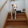 早朝出の日帰りWoof（その1；早く着きすぎました）