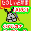 ディスクの２　山羊座１～10度　ピップカード「小アルカナ」　たのしい占星術TAROT