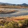 帰りに立ち寄った「勝山城跡公園」と「さくら市ミュージアム」で！