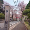 お花見♪福山雅治さんの歌で有名な「桜坂」に行ってきました☆