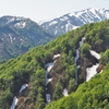 残雪と新緑の倉手山斜面。奥には飯豊本山。