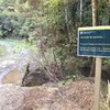 DAY#9 Apple Dam Campsite to Puketi Recreation Center (27)