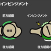 上腕骨頭の前方変位が引き起こす二次的な障害のリスクについて