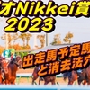 【ラジオNikkei賞2023】出走馬予定馬データ分析と消去法予想