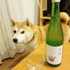 遠出しないで過ごした週末、でも楽しい😊