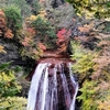 【紅葉🍁】 秘境の奥蓼科を歩く♪①｜茅野市