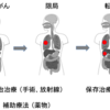 がん薬物療法における精密医療の役割