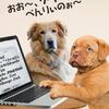 Wordマクロの単純な置換にはwdReplaceAll