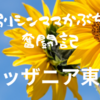 【職業体験】初めてのキッザニア東京～初めてでミリしらでも攻略できるのか？～※障害者手帳使用