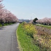お花見ツアー！