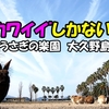 ＜動画UP＞ウサギの楽園🐰 大久野島に行ってみた！