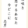 桜咲き 恋するあなた 今どこに