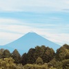 今朝の景色