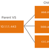 VMware Avi Load Balancer：SNIの設定について