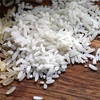 血液をさらさらに！寝かせ玄米！