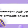 無料でMP4をMOVに変換する方法