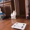 GWの過ごし方。