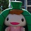 大津祭①