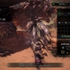 マスターランクが１００になった。【MHW:I日記】