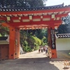 京都　三室戸寺に紫陽花を見に行ってきました