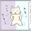 旅の服装は臭いにも気を付けたい～病弱気味夫と屈強妻が世界一周してみたら17～