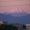 一年ぶりに登山道がみえた