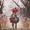 ふるさと納税で体験する！ マリンスポーツ、牧場や農場、流鏑馬や乗馬、ドローンを楽しむ！