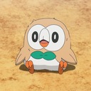 閑古鳥の足跡