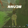 ゼルダの伝説BotW #11 「カカリコ村に到着」