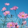 cosmosky 02