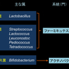 乳酸菌とテレビCM