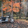 KAWASAKI W800 / レンタルバイク