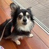 まろにー3534日目