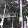 岡山旅行記その二