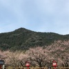 藤川天神