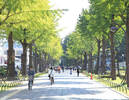 【練馬に特化】相続・土地・都市農地の悩みを【地元目線】で解決します