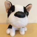 Ｒ言語による電子カルテデータの二次利用