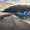 2026#11 釣り場調査＠江梨港（静岡県沼津市）(৹˃ᗝ˂৹)