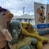 今週のレッスン　とよの保育園さま