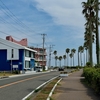 白浜のつれづれ