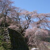 宇陀市にある本郷の瀧桜（又兵衛桜）を見に行ってきた