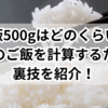 ご飯500gはどのくらい？適量のご飯を計算するための裏技を紹介！