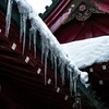 冬の箱根神社